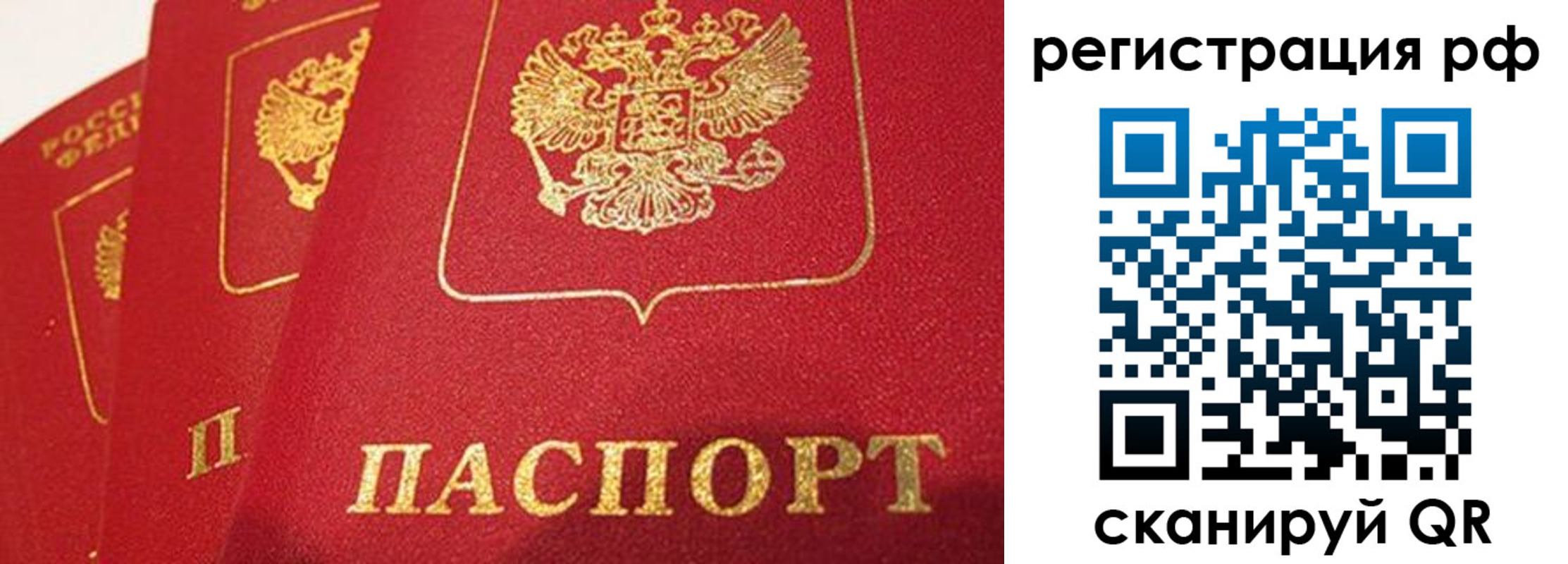 прописка поиск в Кондрово